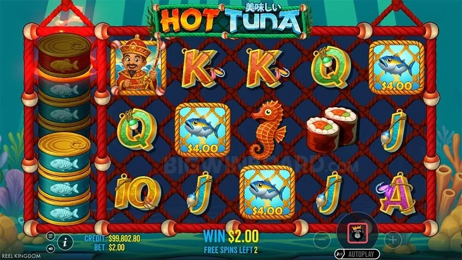 Winph daily bonuses and free spins