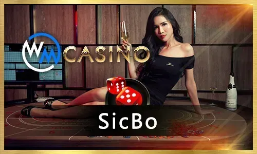 Winph Poker Icon